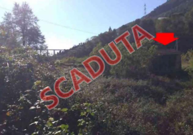 terreno agricolo in vendita a Vallecrosia