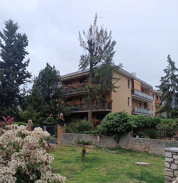 appartamento in vendita a Vallecrosia