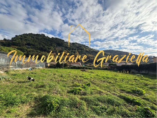 terreno edificabile in vendita a Vallecrosia