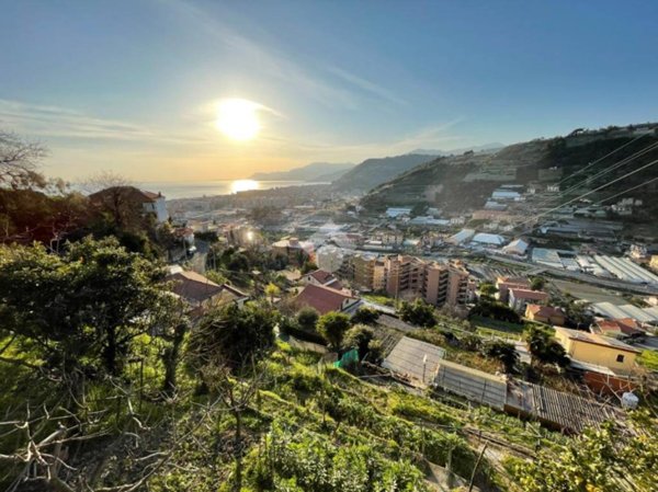 terreno agricolo in vendita a Vallecrosia