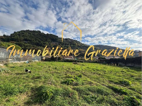 terreno agricolo in vendita a Vallecrosia