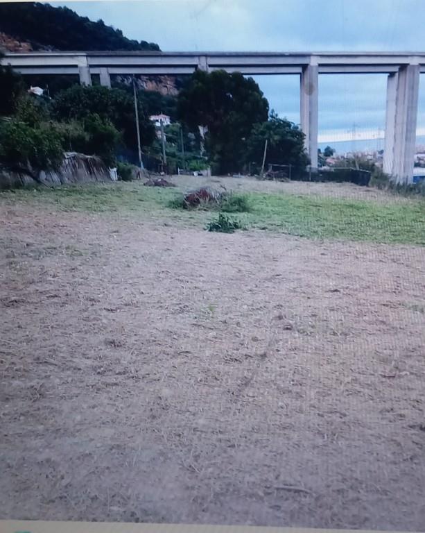 terreno agricolo in vendita a Vallecrosia