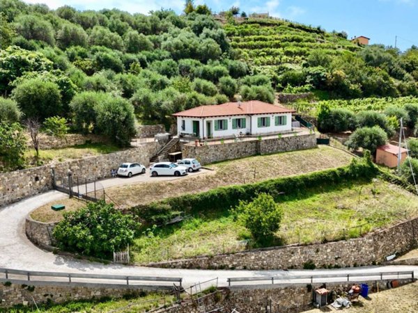 casa indipendente in vendita a Vallecrosia in zona Vallecrosia Alta