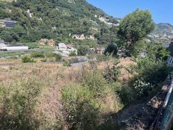 terreno agricolo in vendita a Vallecrosia