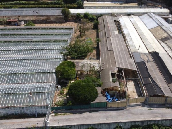 terreno in vendita a Vallecrosia