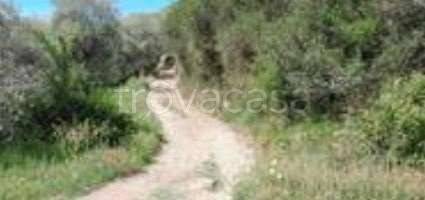 appartamento in vendita a Vasia