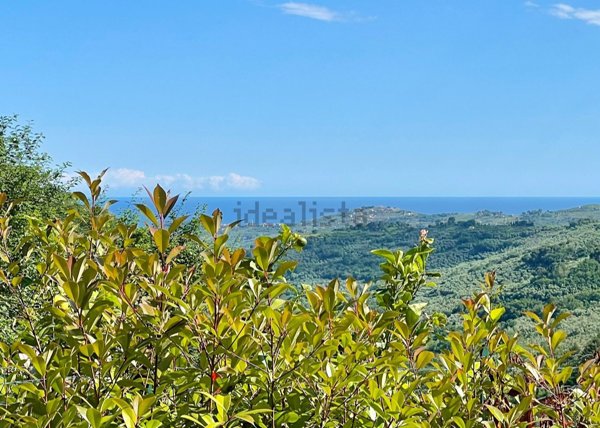 casa indipendente in vendita a Vasia