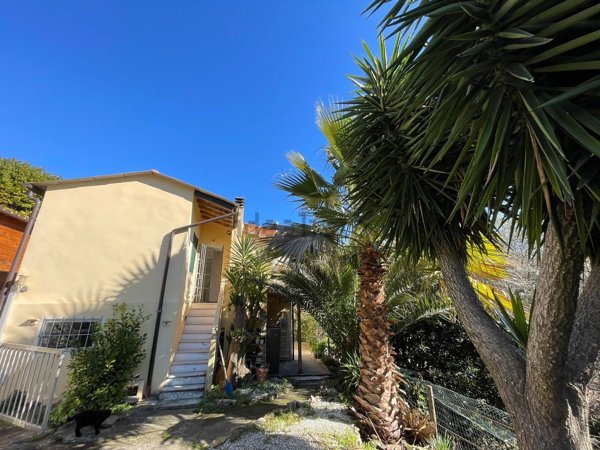 casa indipendente in vendita a Vasia