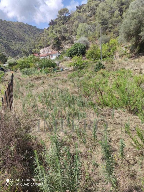 appartamento in vendita a Ventimiglia in zona Trucco