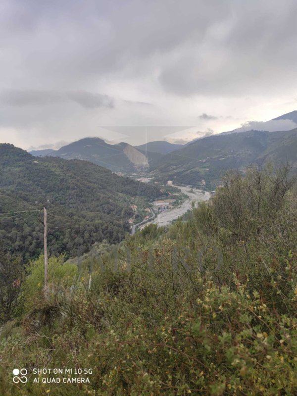 terreno edificabile in vendita a Ventimiglia in zona Verrandi