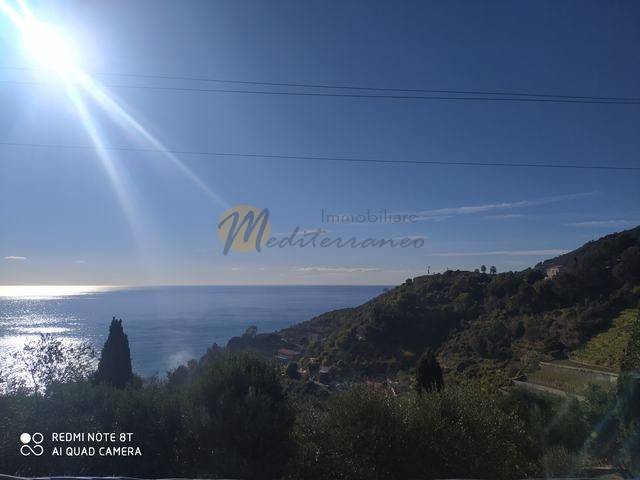terreno agricolo in vendita a Ventimiglia