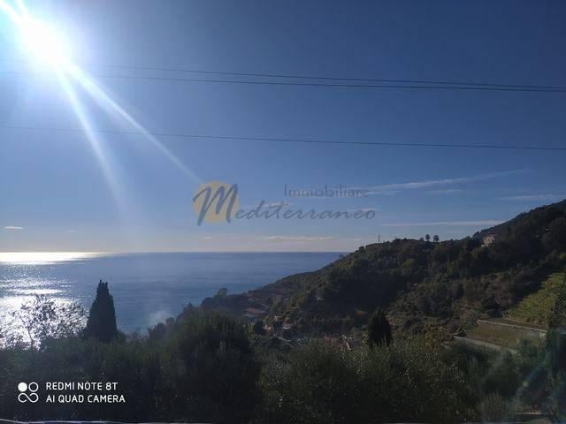 terreno agricolo in vendita a Ventimiglia