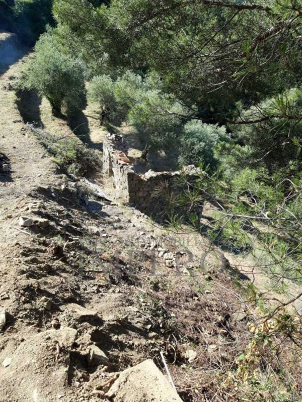 appartamento in vendita a Ventimiglia in zona Verrandi