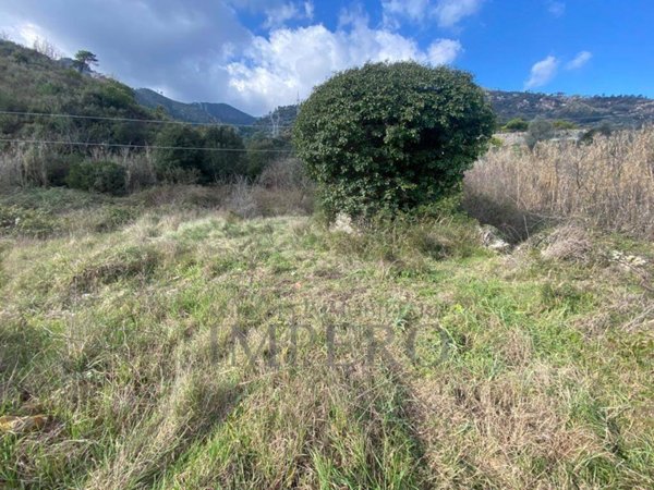 terreno agricolo in vendita a Ventimiglia in zona Calvo