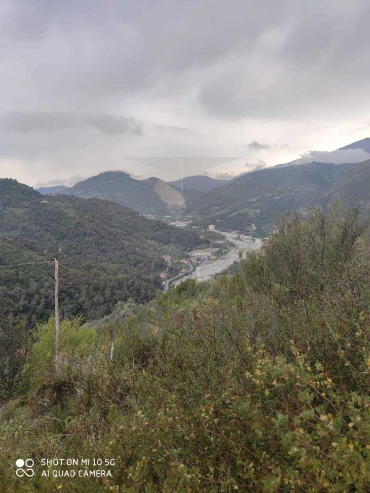 terreno edificabile in vendita a Ventimiglia in zona Verrandi