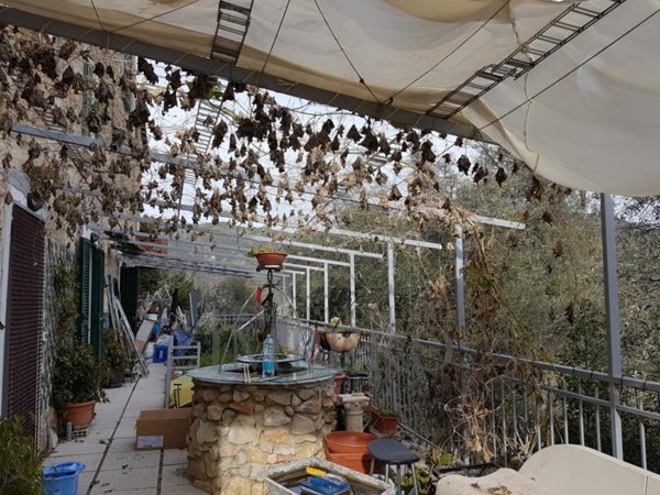 appartamento in vendita a Ventimiglia