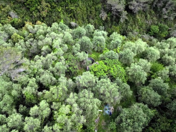 appartamento in vendita a Ventimiglia in zona Trucco