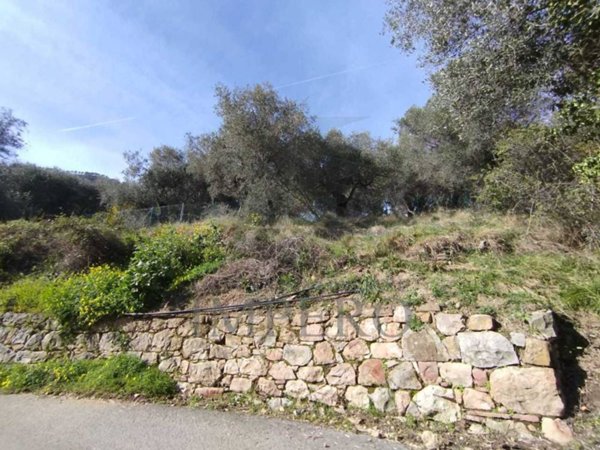 terreno agricolo in vendita a Ventimiglia in zona Sealza