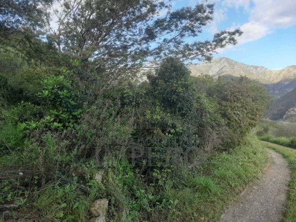 terreno agricolo in vendita a Ventimiglia in zona Seglia / San Bernardo