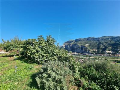 terreno agricolo in vendita a Ventimiglia