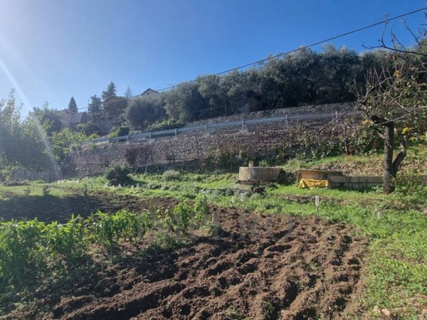 terreno agricolo in vendita a Ventimiglia