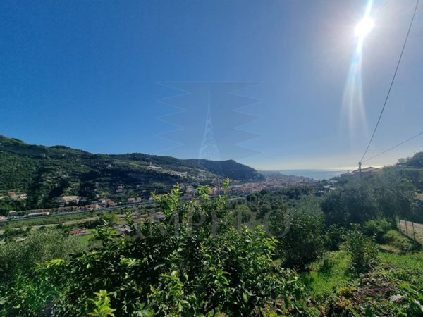 terreno agricolo in vendita a Ventimiglia