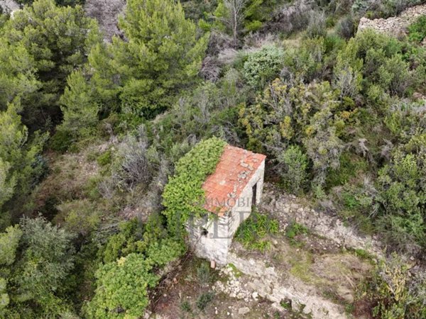 terreno agricolo in vendita a Ventimiglia in zona Grimaldi