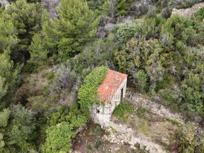 terreno agricolo in vendita a Ventimiglia in zona Grimaldi