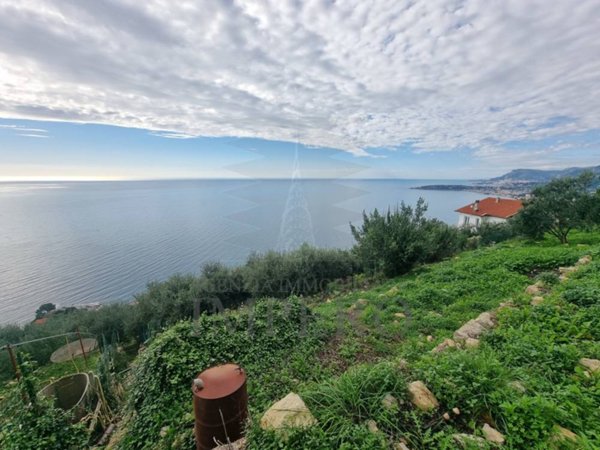 terreno agricolo in vendita a Ventimiglia in zona Grimaldi