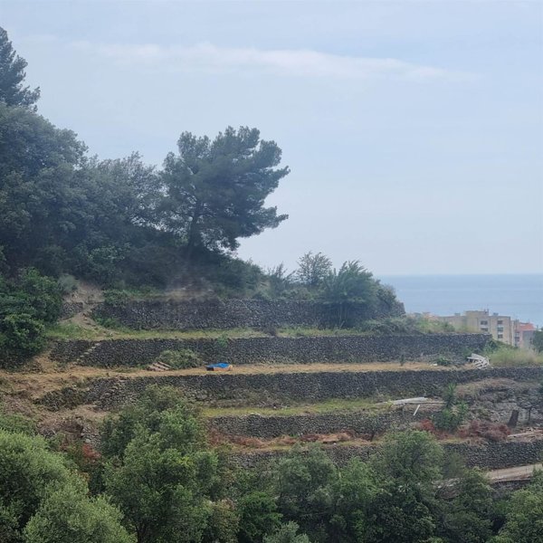 terreno agricolo in vendita a Ventimiglia