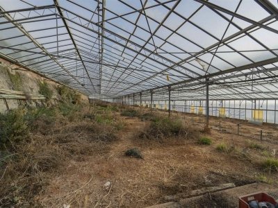 terreno agricolo in vendita a Ventimiglia