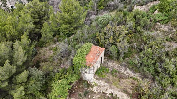 terreno agricolo in vendita a Ventimiglia in zona Grimaldi