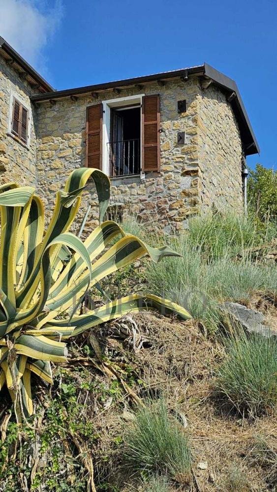 casa indipendente in vendita a Ventimiglia in zona Sealza