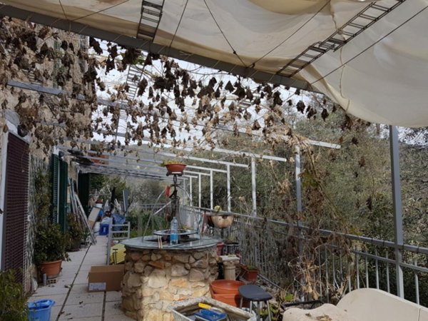 appartamento in vendita a Ventimiglia