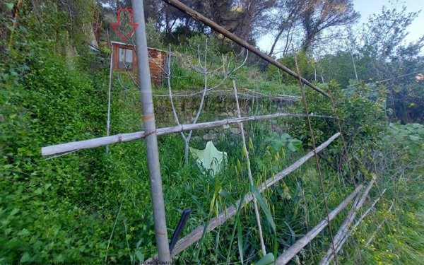 appartamento in vendita a Ventimiglia