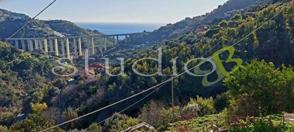casa semindipendente in vendita a Ventimiglia in zona Latte