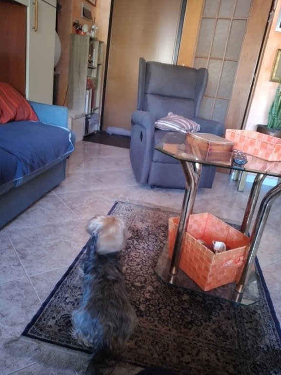 appartamento in vendita a Ventimiglia in zona Trucco