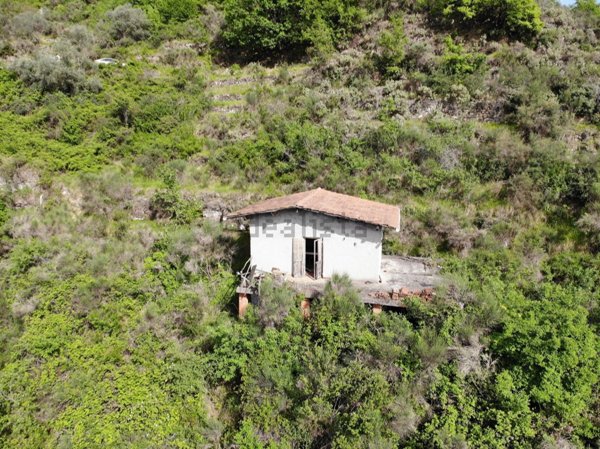 pentavano in vendita a Ventimiglia in zona Verrandi