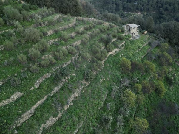 ufficio in vendita a Ventimiglia in zona Latte