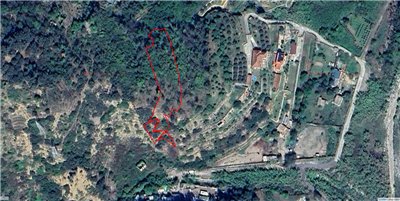 terreno agricolo in vendita a Ventimiglia in zona Calvo