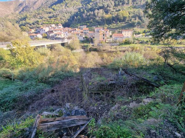 terreno agricolo in vendita a Ventimiglia in zona Calvo