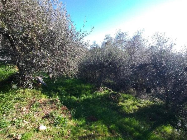 terreno edificabile in vendita a Ventimiglia