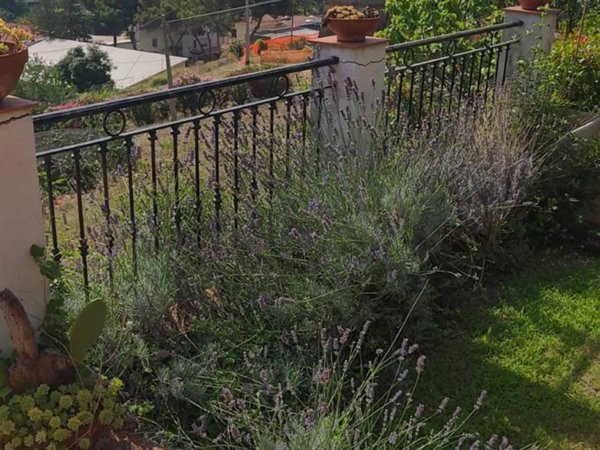 appartamento in vendita a Ventimiglia in zona Latte