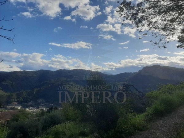terreno agricolo in vendita a Ventimiglia in zona Seglia / San Bernardo