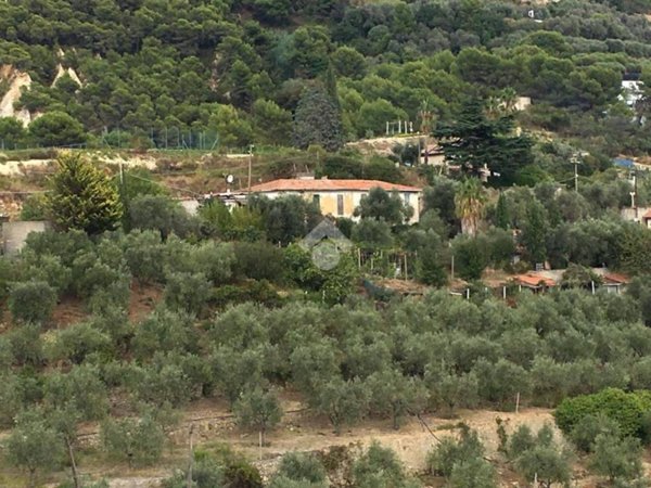 terreno agricolo in vendita a Ventimiglia in zona Latte