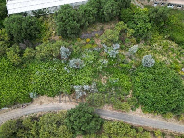 terreno edificabile in vendita a Ventimiglia in zona Calvo