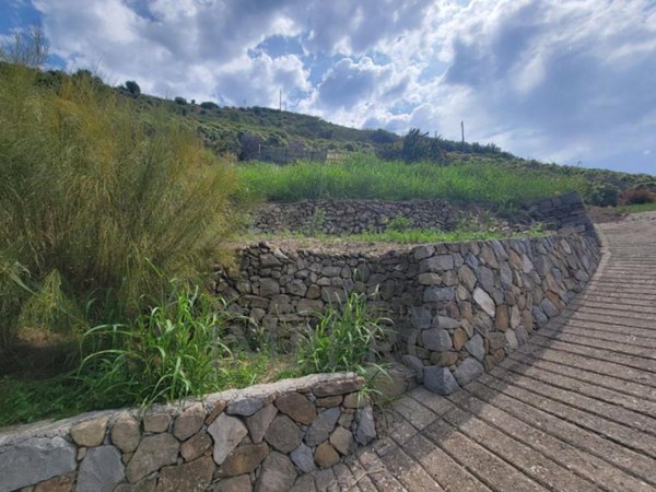 terreno agricolo in vendita a Ventimiglia in zona Latte