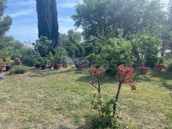 casa indipendente in vendita a Ventimiglia in zona Seglia / San Bernardo