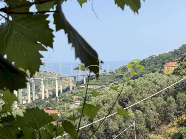 casa semindipendente in vendita a Ventimiglia in zona Latte