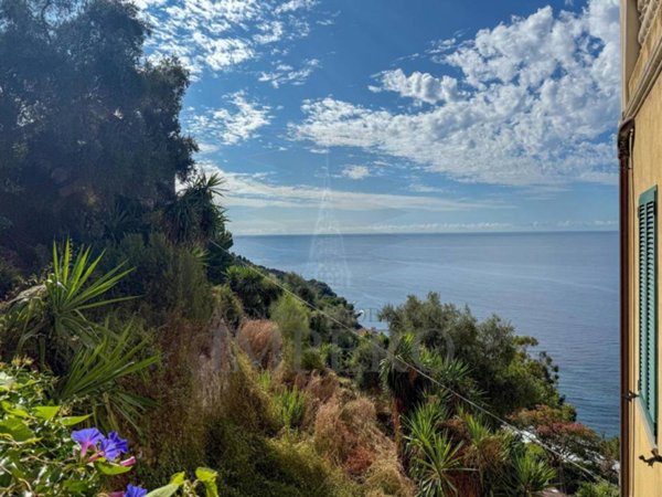 terreno agricolo in vendita a Ventimiglia in zona Grimaldi